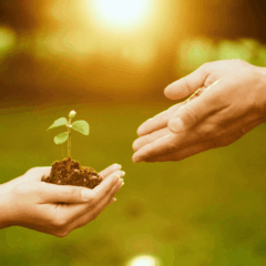 人生100年時代の資産形成とは？不確実な市場を生き抜くリテラシー設計の画像