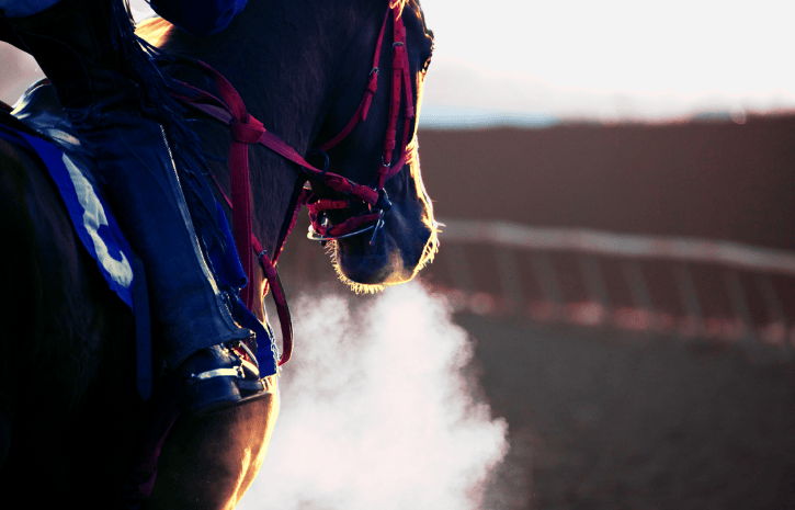 競馬の馬券とコインを前に、お金の使い方やリスクについて考える若者のイメージ。投資とギャンブルの違いを象徴するビジュアル